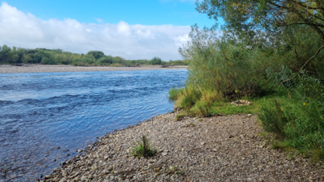 View over the River Spey 