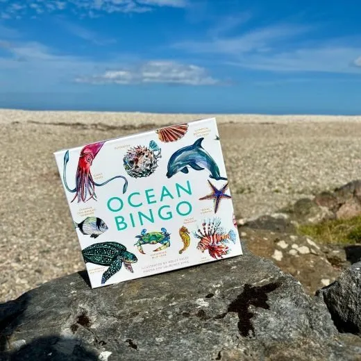 Ocean bing game © WDC